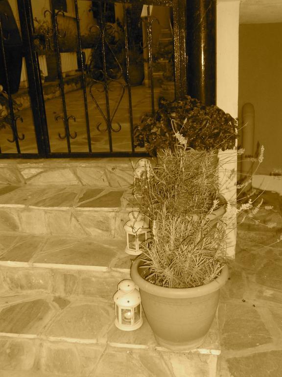 Dominici Hotel Ammouliani Cameră foto